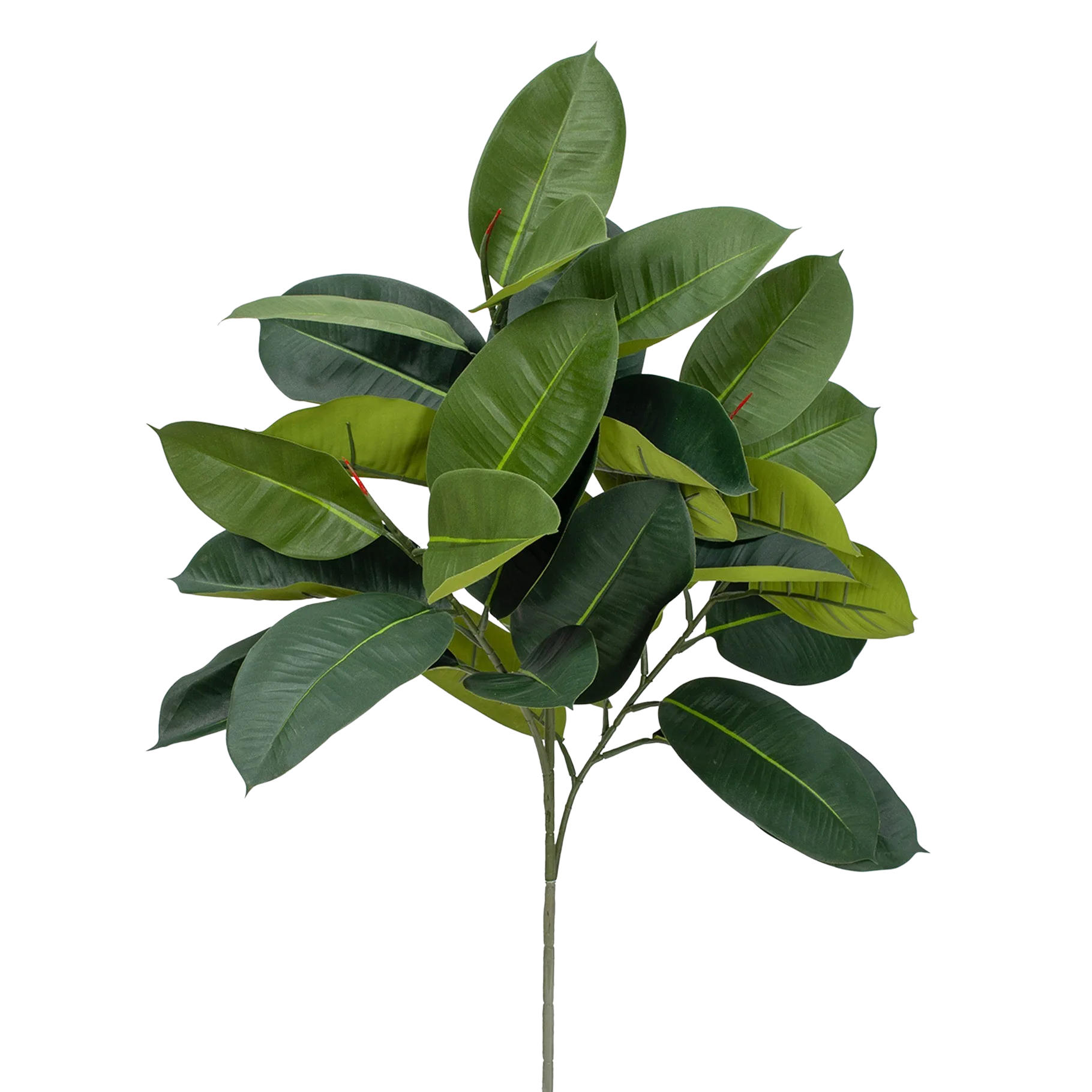 KÜNSTLICHER Gummibaumzweig - Rosa 95 cm - Grün, Kunststoff (95cm) - aplanta