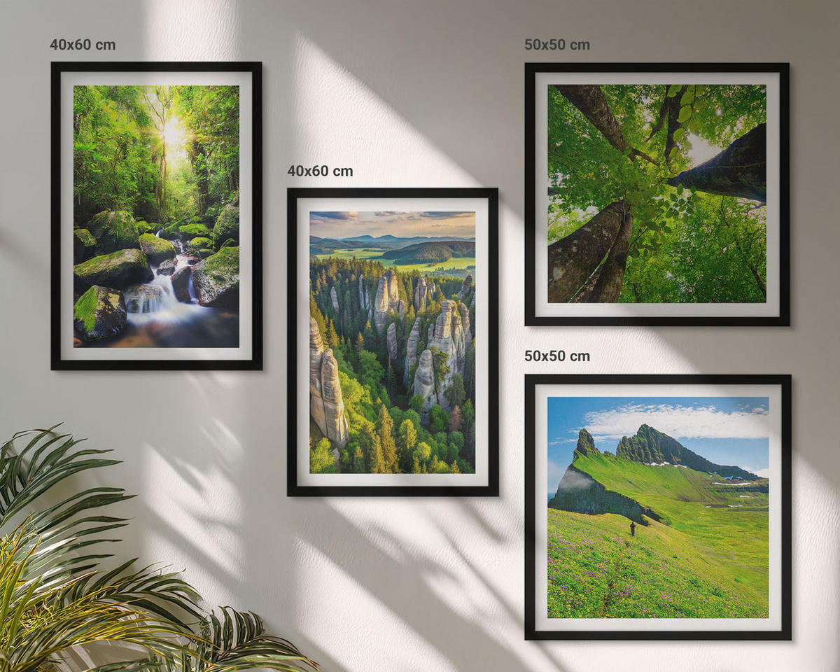 BILDER SET 4er Set - 50x50 cm & 40x60 cm Schwarzer Rahmen - Grüne Berge Wasserfallwald - Schwarz, Kunststoff (50/50cm) - TULUP