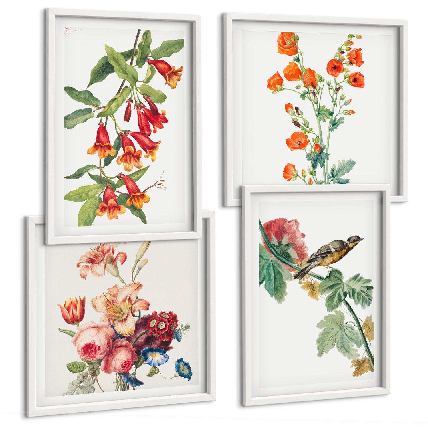 BILDER SET 4er Set - 50x50 cm & 40x60 cm Weißer Rahmen - Gemalte Blumen, Retro-Vogel - Weiß, Kunststoff (50/50cm) - TULUP