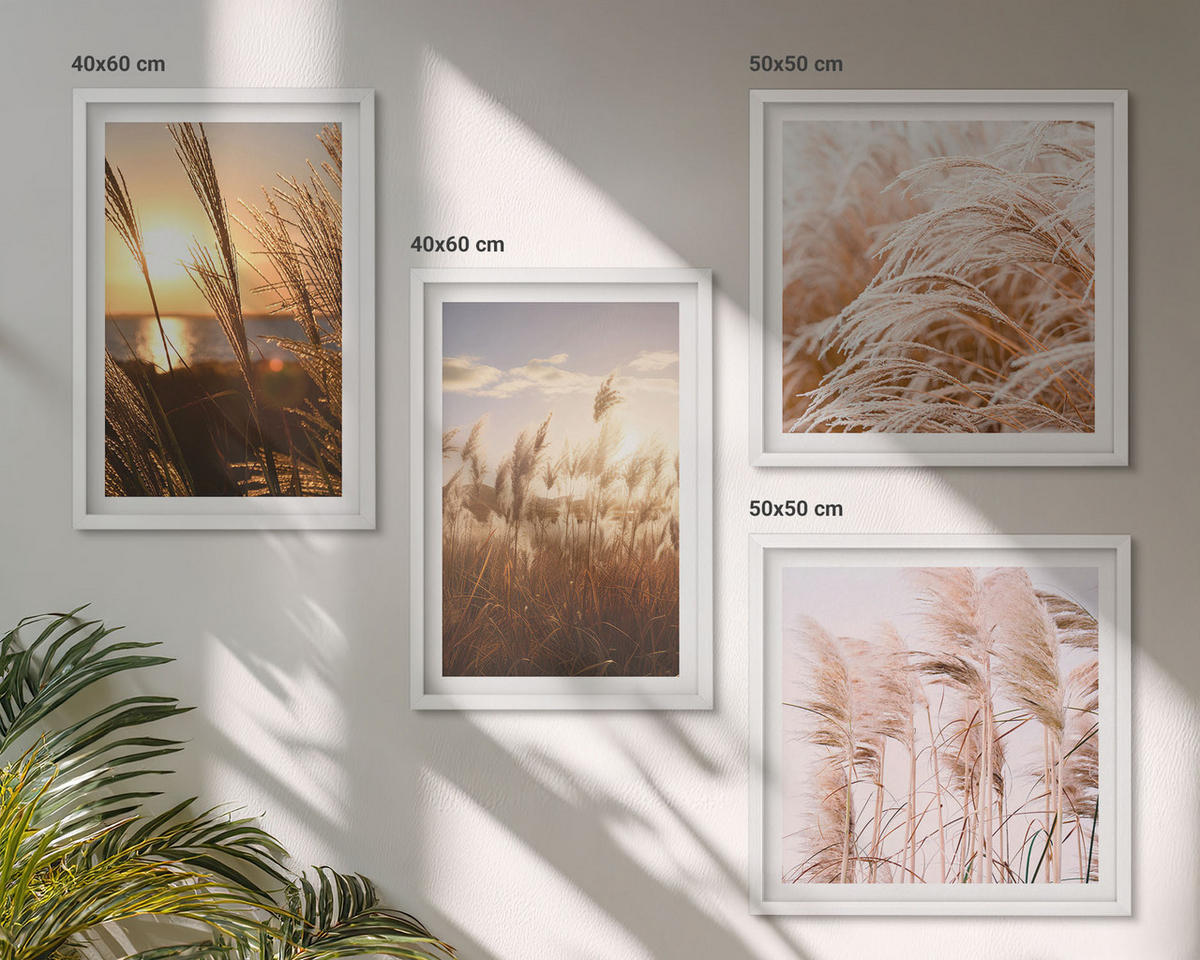 BILDER SET 4er Set - 50x50 cm & 40x60 cm Weißer Rahmen - Boho-Grasfeld-Sonnenuntergang - Weiß, Kunststoff (50/50cm) - TULUP