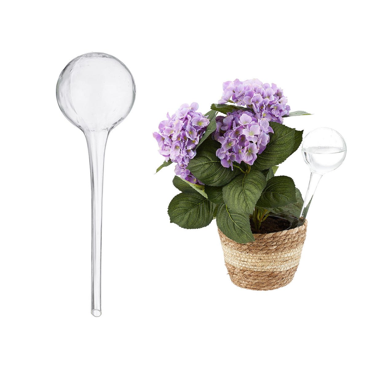 2xBEWÄSSERUNGSKUGEL - Transparent, Glas (9/30/9cm) - Relaxdays