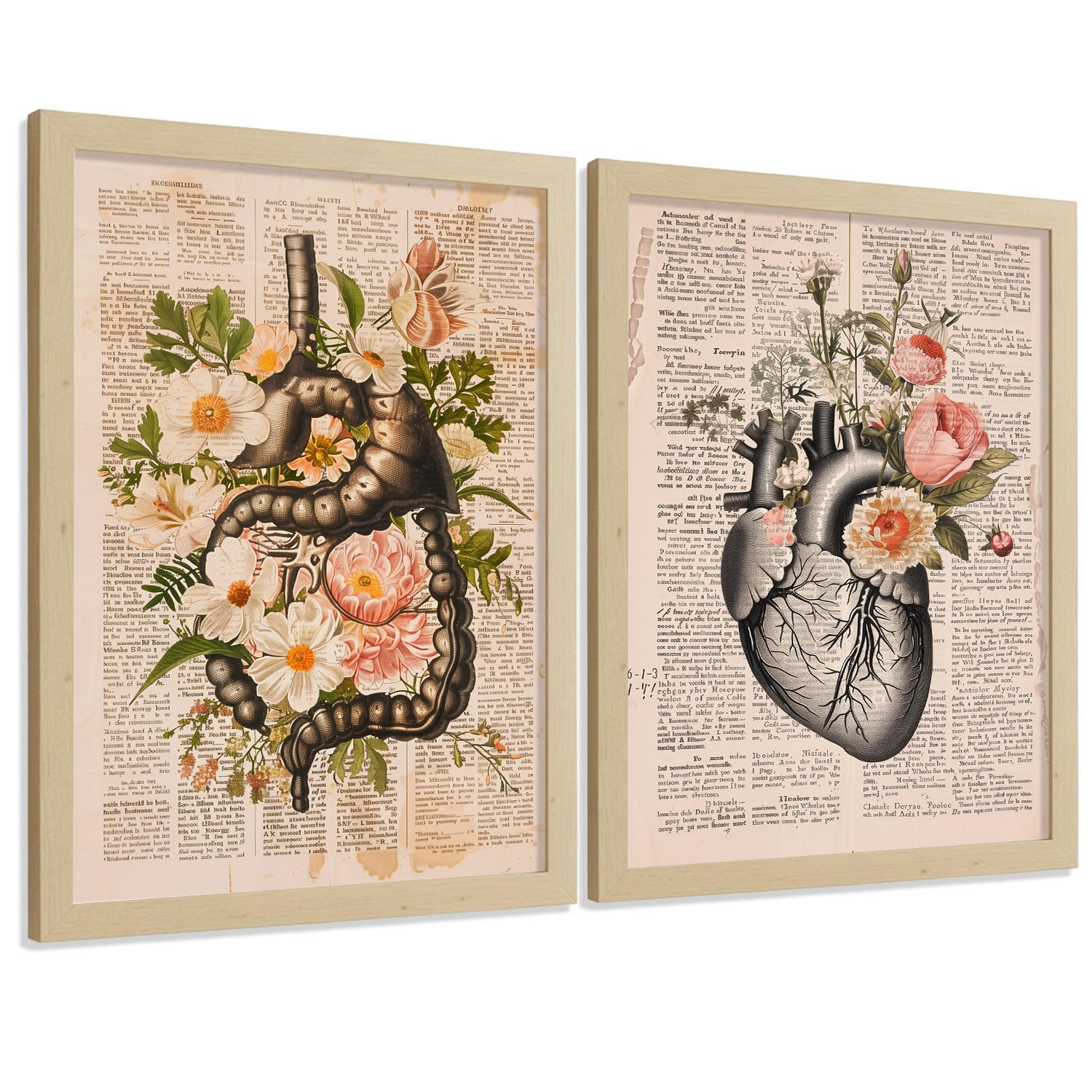 POSTER Set aus 2 Anatomie Mensch Drucke und Wandbilder mit Verdauungssystem Darm und Herz Klassisches Florales Design Größe Rahmenlos A4 - Klar, Papier (21/29.7/3cm) - Nacnic
