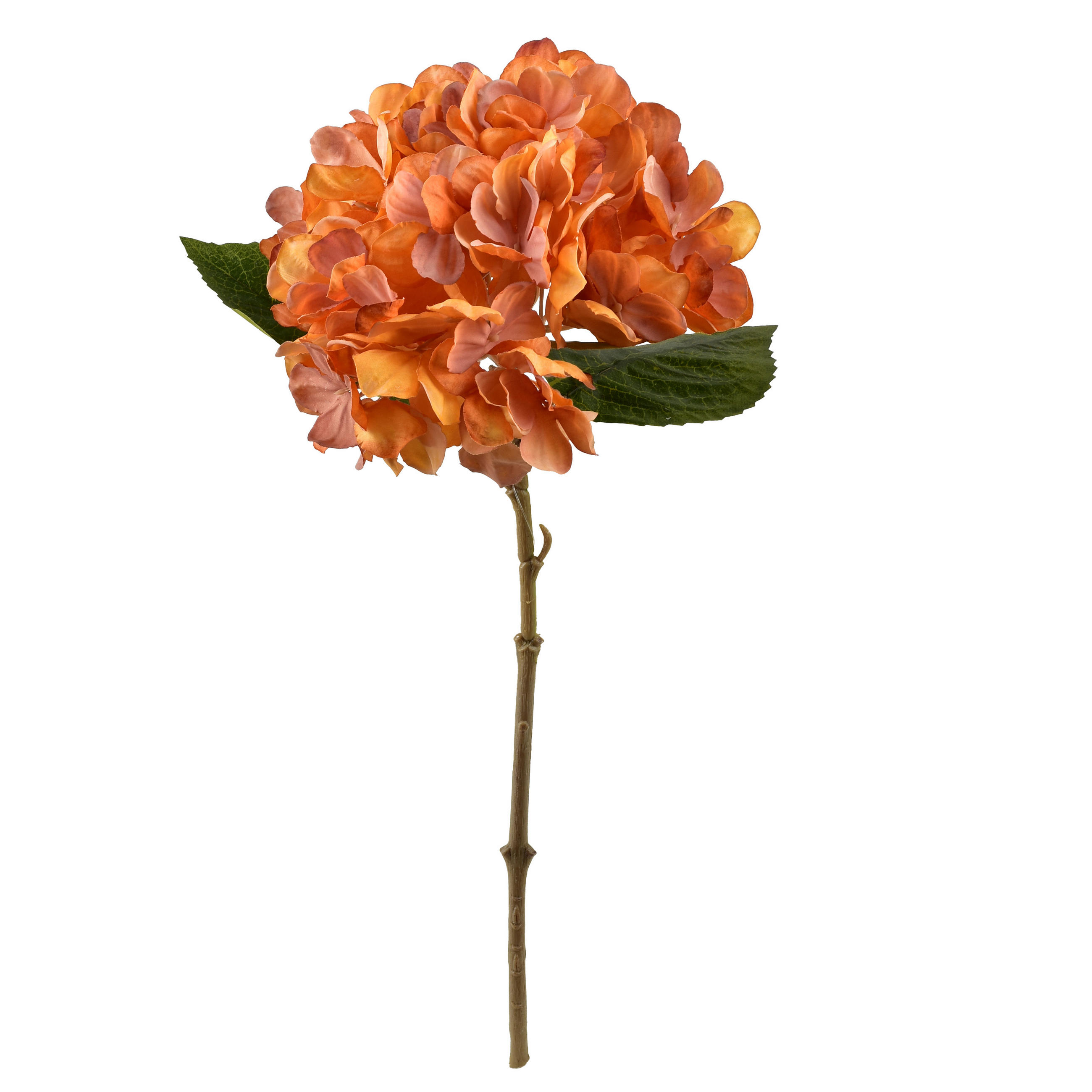KUNSTBLUME Viridis 35cm - Grün, Kunststoff (35cm) - Mondex