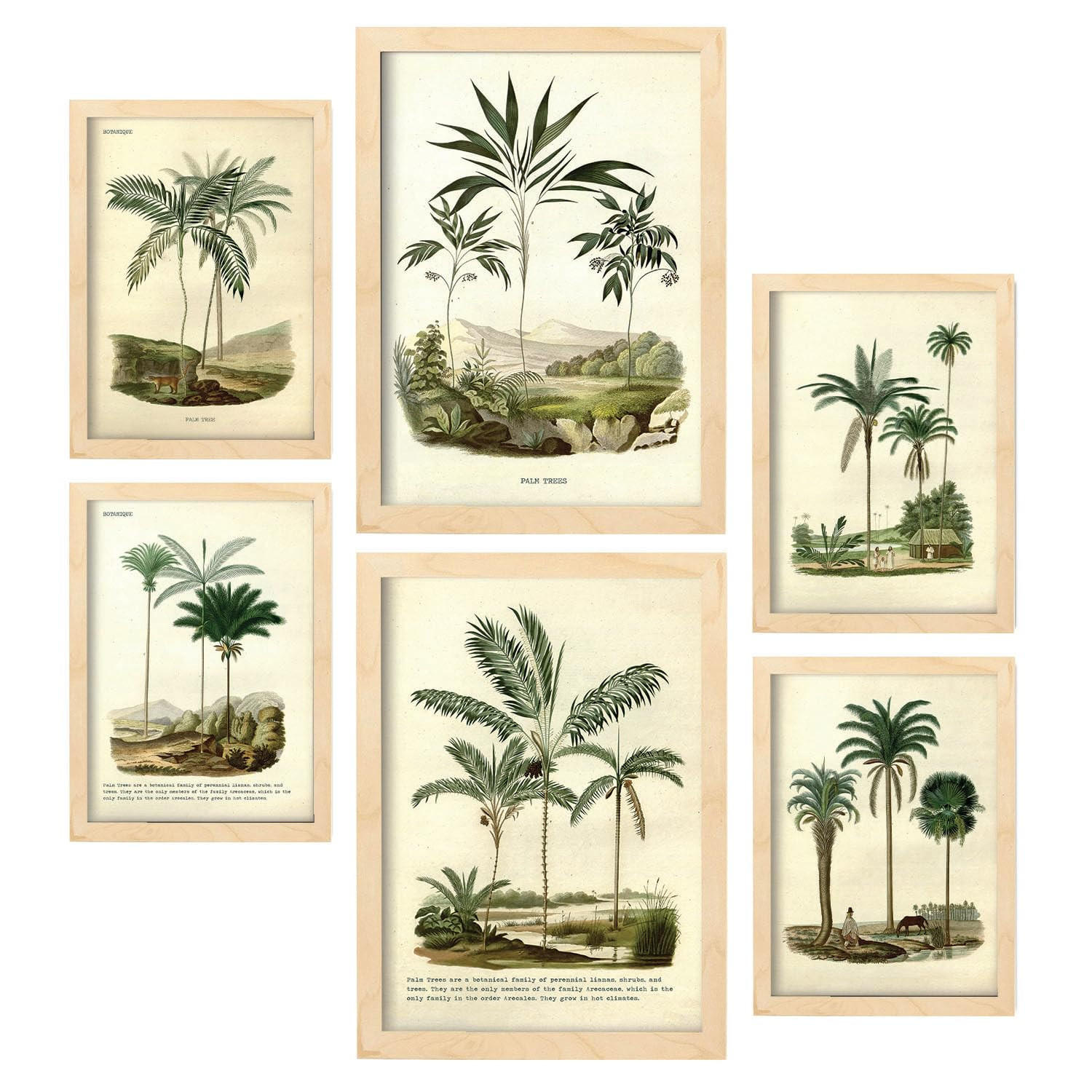 POSTER Set Mit 6 Palmen In Vintage A3 & A4 Rahmen Aus Hellem Holz - Beige, Papier (29/3cm) - Nacnic