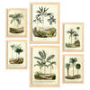 POSTER Set Mit 6 Palmen In Vintage A3 & A4 Rahmen Aus Hellem Holz - Beige, Papier (29/3cm) - Nacnic