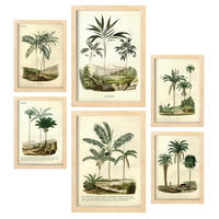 POSTER Set Mit 6 Palmen In Vintage A3 & A4 Rahmen Aus Hellem Holz - Beige, Papier (29/3cm) - Nacnic