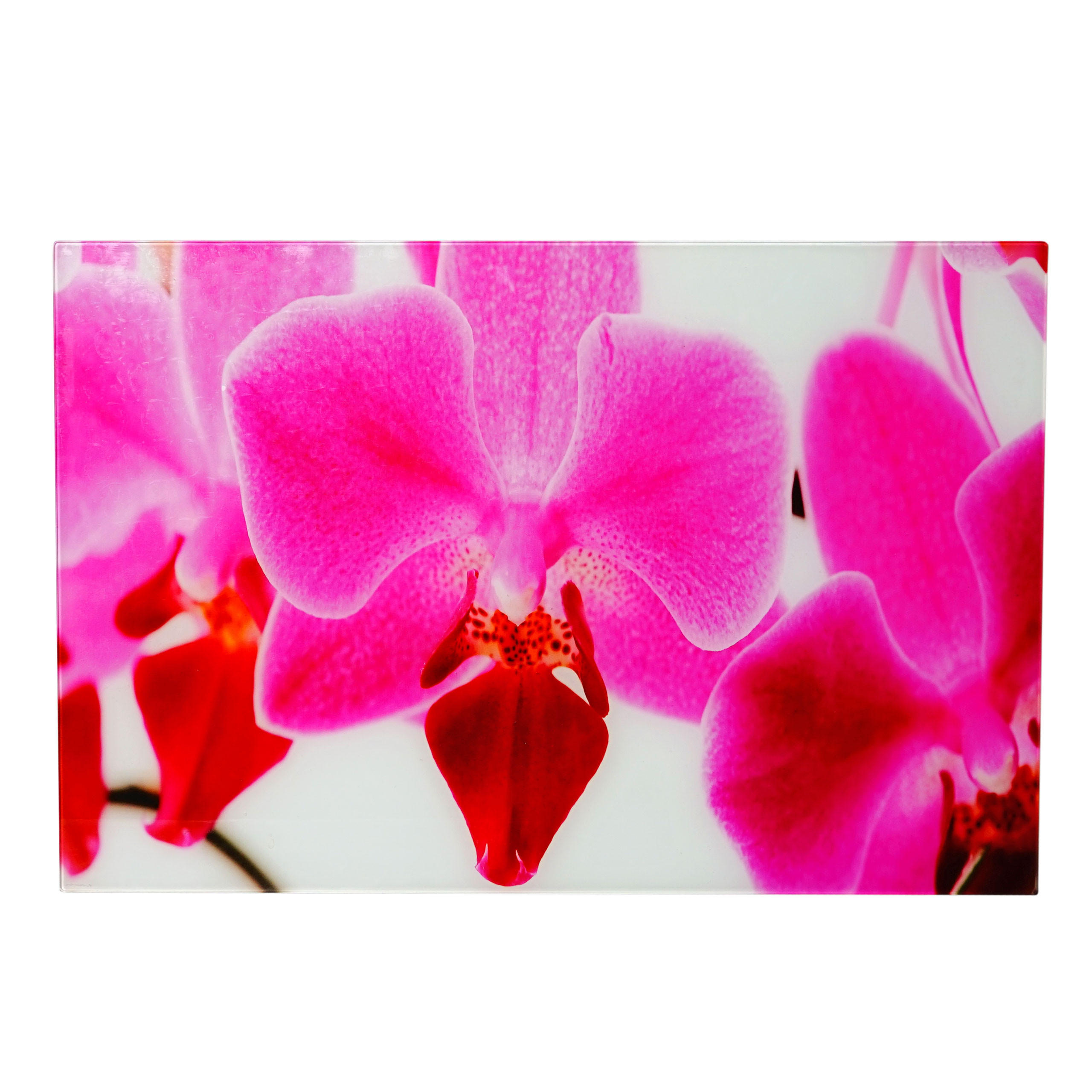 MCW SKLENĚNÝ OBRAZ ORCHIDEJ Multicolor