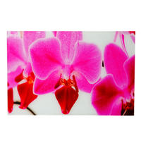GLASBILD ORCHIDEE Multicolor - Multicolor, Glas (60/40cm) - MCW