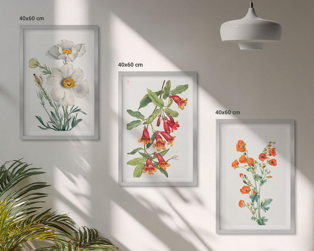 BILDER SET 3er Set - 40x60 cm Silberner Rahmen - Retro-Blumenarrangements - Silberfarben, Kunststoff (40/60cm) - TULUP