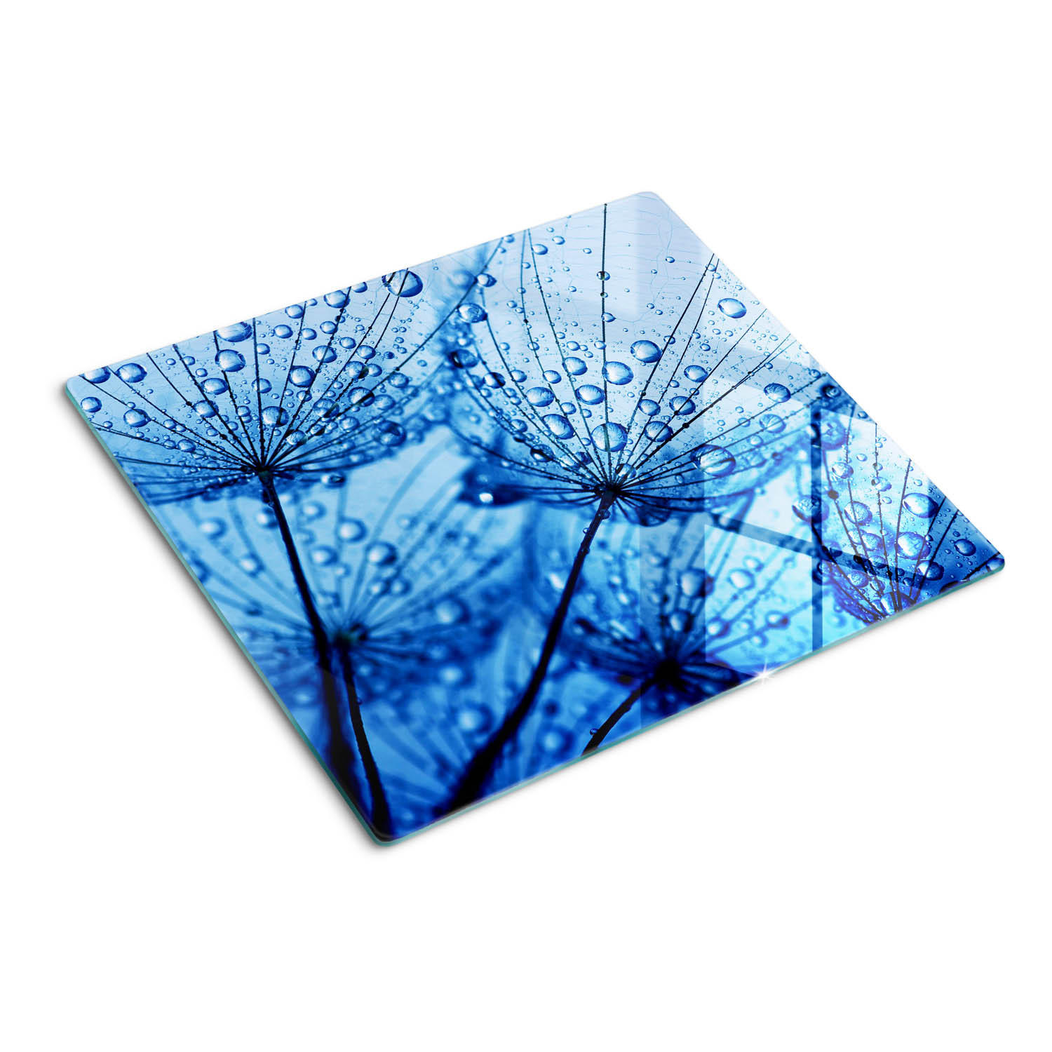 GLASPLATTE 60x52 cm Löwenzahn - Blau, Glas (60/0.4/52cm) - TULUP