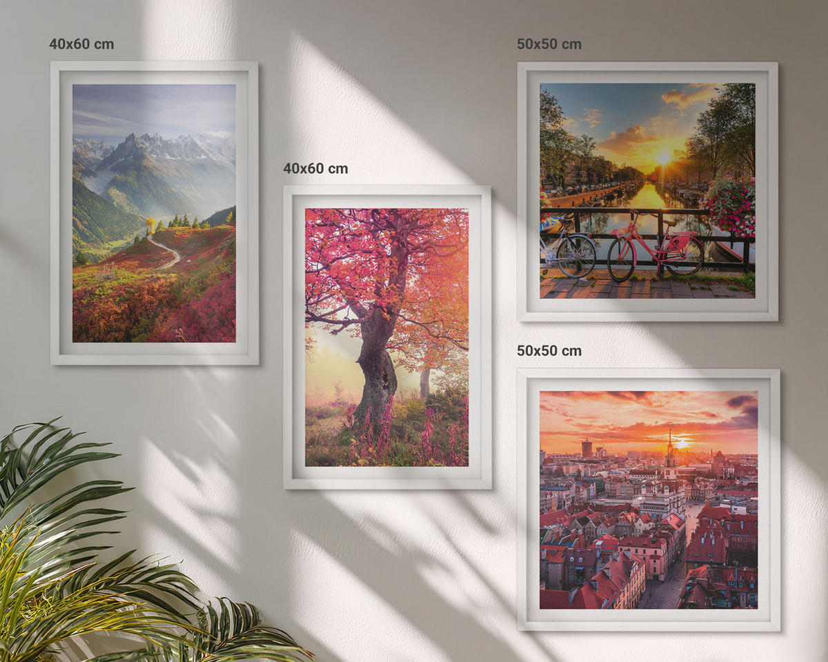 BILDER SET 4er Set - 50x50 cm & 40x60 cm Weißer Rahmen - Berglandschaften mit dem Fahrrad - Weiß, Kunststoff (50/50cm) - TULUP