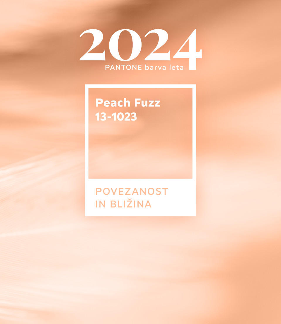 Barva leta 2024