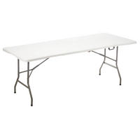 GARTENTISCH Faltbar 244/76/74 cm - Weiß, Kunststoff (244/76/74cm)
