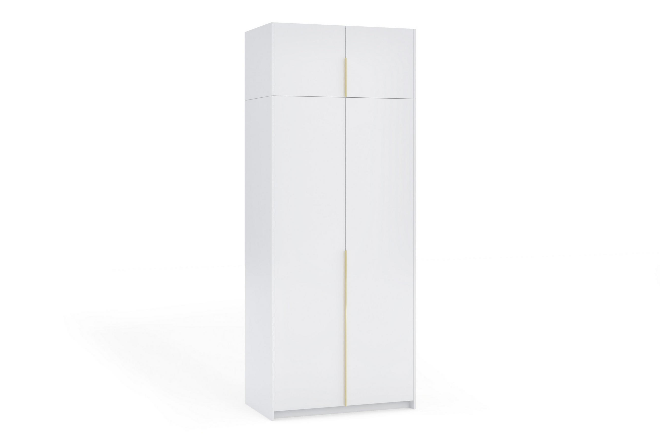 DREHTÜRENSCHRANK AMARA 100/250/58cm 2-türig Weiß - Goldfarben/Weiß, Holzwerkstoff (100/250/58cm) - MASSENO