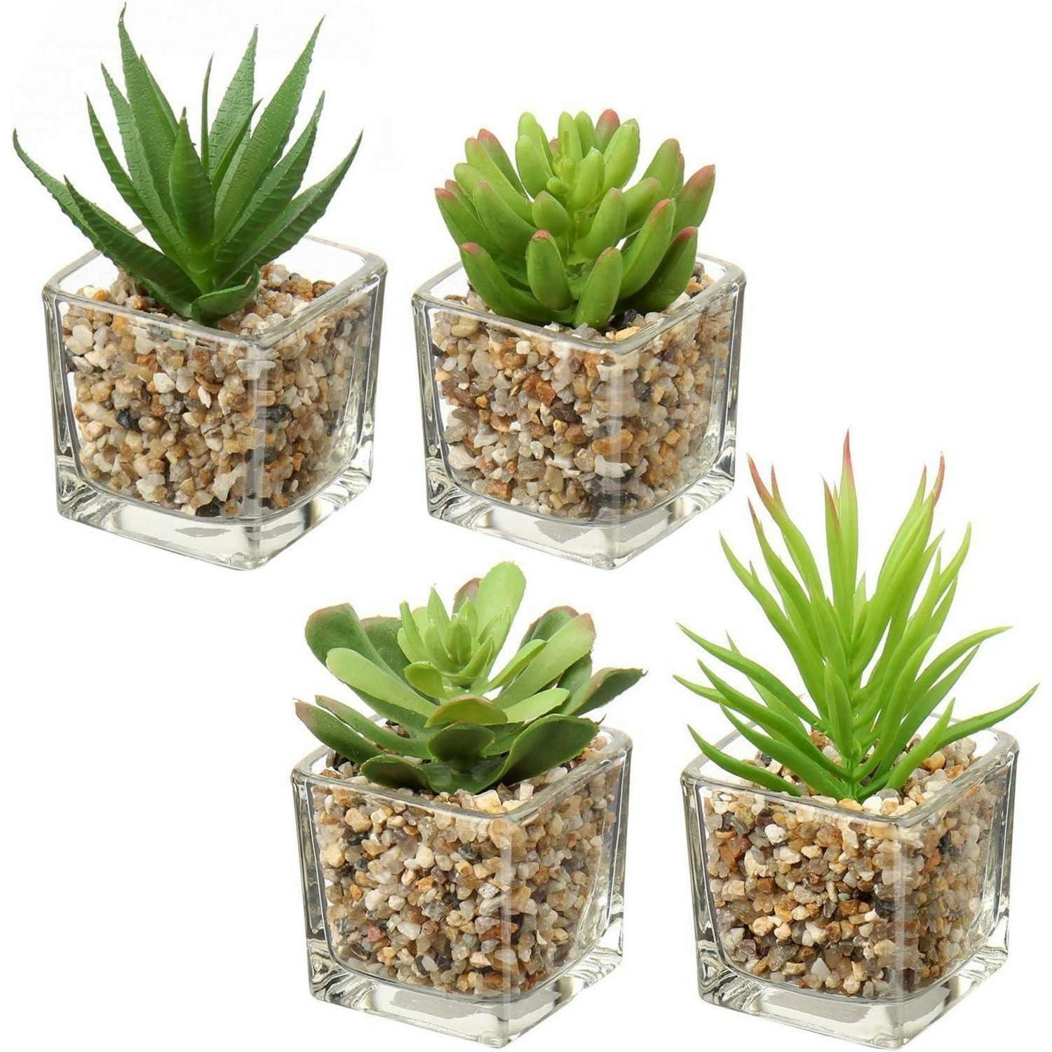 KUNSTPFLANZEN-SET 4-teilig im Glastopf Höhe 10.5cm - Multicolor, Glas (5.1cm)
