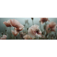 GLASBILD 80x30 cm Mohnblüten rosa Pastell - Beige, Glas (80/30cm) - artissimo