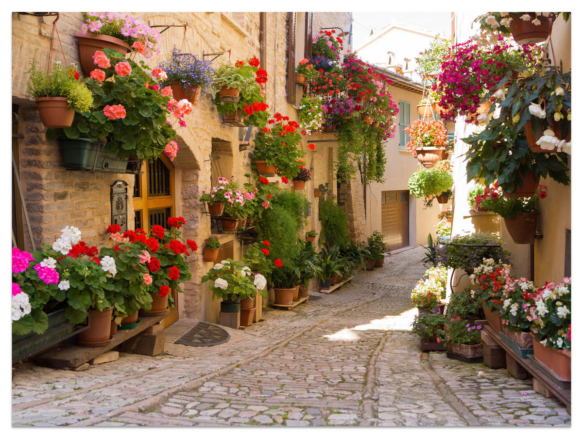 FOTOTAPETE für Wohnzimmer Italienische Steinstraße Blumen Pflanzen 150x105 - Beige/Rot, Papier (150/105cm) - Muralo