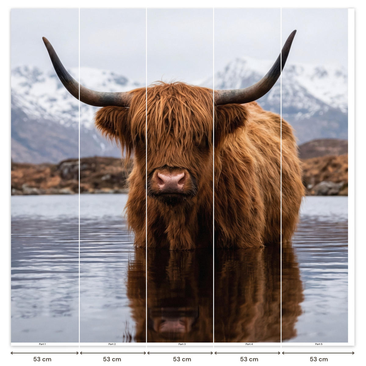TAPETE - Schottischer Hochländer - Braun - Wasser - 260x240 cm - Braun, Papier (260/240cm) - OnlyWow