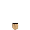 BLUMENTOPF AUDREY - Töpferei - Gold - XS - 2er set - Ø 16,5 cm - Goldfarben, Keramik (16.5/16cm) - J-Line