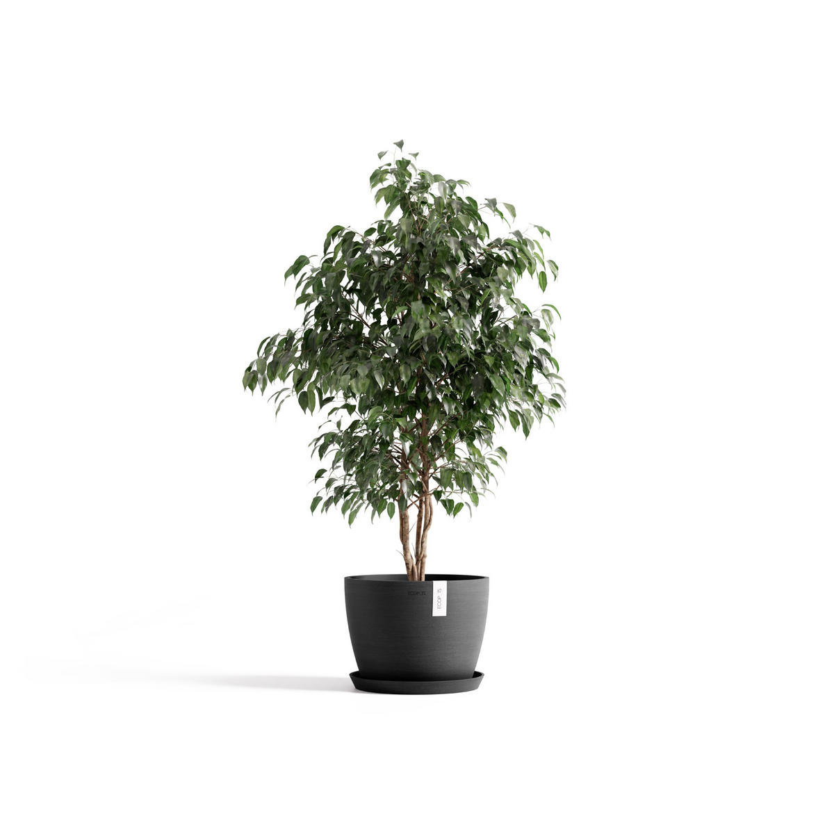 BLUMENTOPF Stockholm Dunkelgrau - Dunkelgrau, Kunststoff (31/23.5cm) - Ecopots