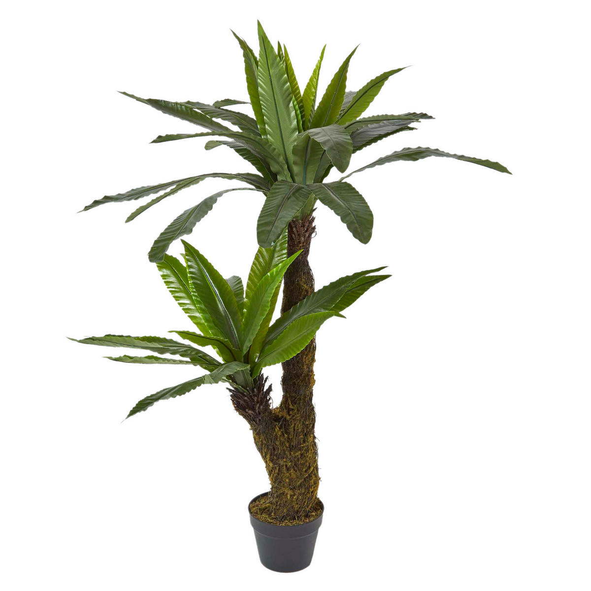 KUNSTPFLANZE Nestfarn, 120 cm - Grün, Kunststoff (120cm) - Homescapes