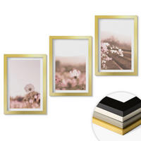 WANDBILDER 3er Set - 20x30 cm Goldrahmen - Sommerlandschaften mit Wildblumenwiesen - Goldfarben, Kunststoff (20/30cm) - ArtPrintCave