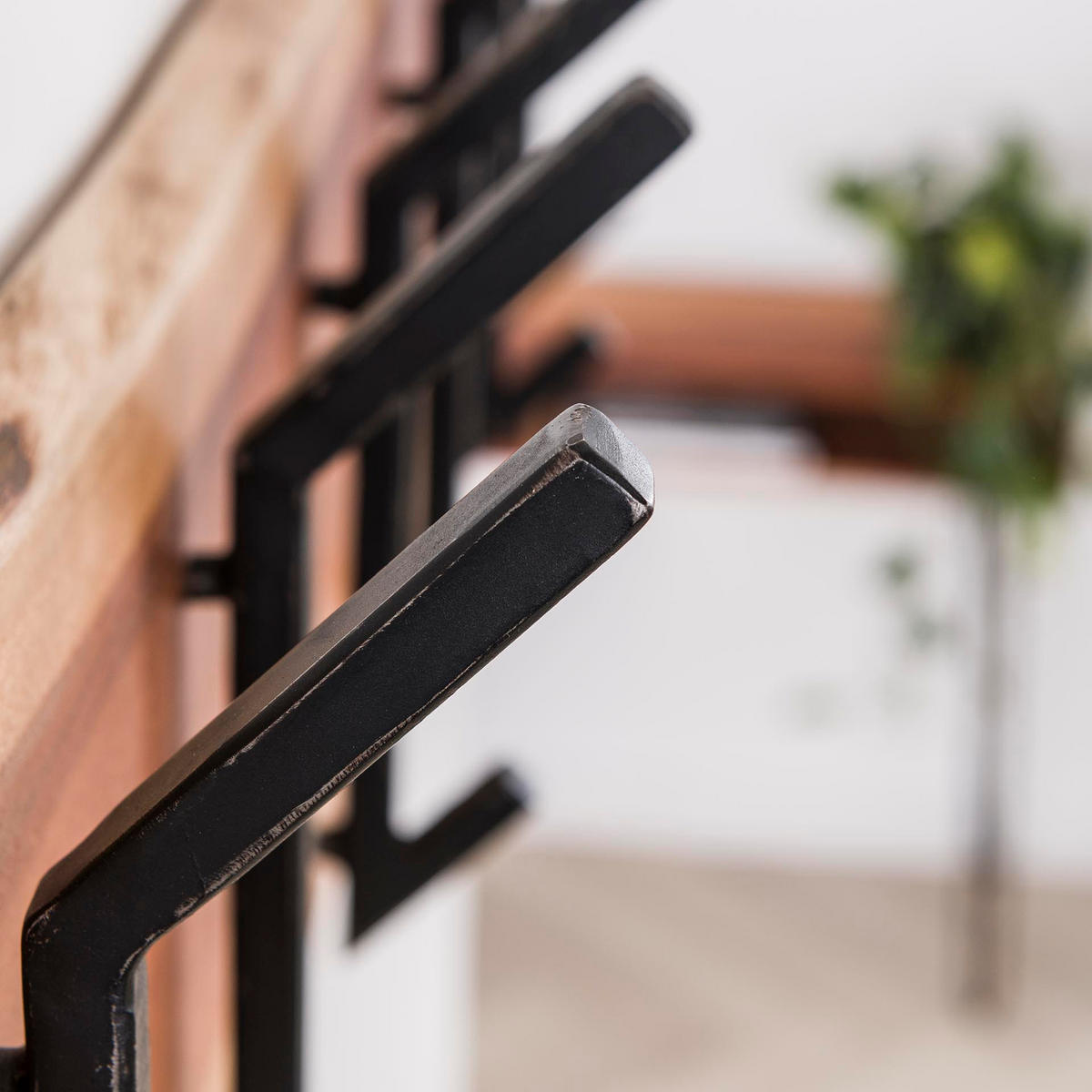 WANDGARDEROBE Edge Braun 100/12/30 cm - Braun, Holz (12/30/100cm) - Hoyz Collection