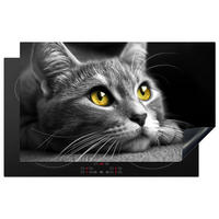 HERDABDECKPLATTE Katze - Grau - Tiere - Katze 85x52 cm - Grau, Kunststoff (85/0.2/52cm) - MuchoWow