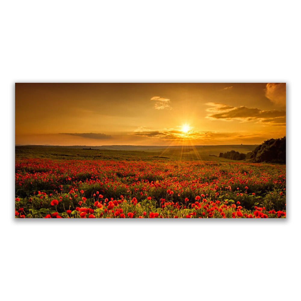 LEINWANDBILD 120x60 cm Mohnfeld - Gelb/Rot, Textil (120/4cm) - TULUP