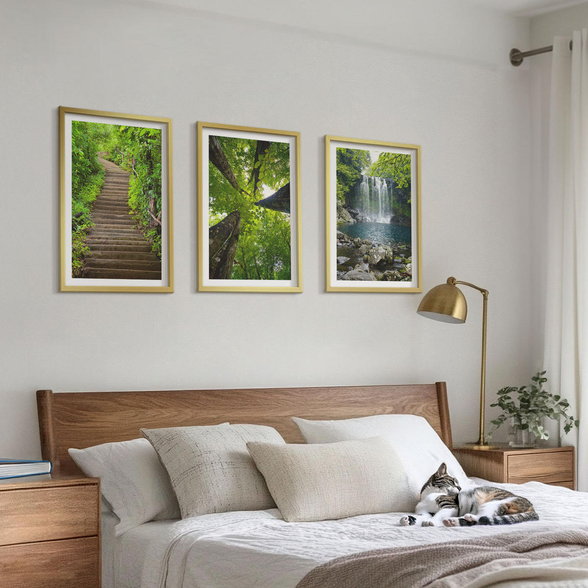 BILDER SET 3er Set - 40x60 cm Goldrahmen - Pfad Wald Wasserfall Vegetation - Goldfarben, Kunststoff (40/60cm) - TULUP