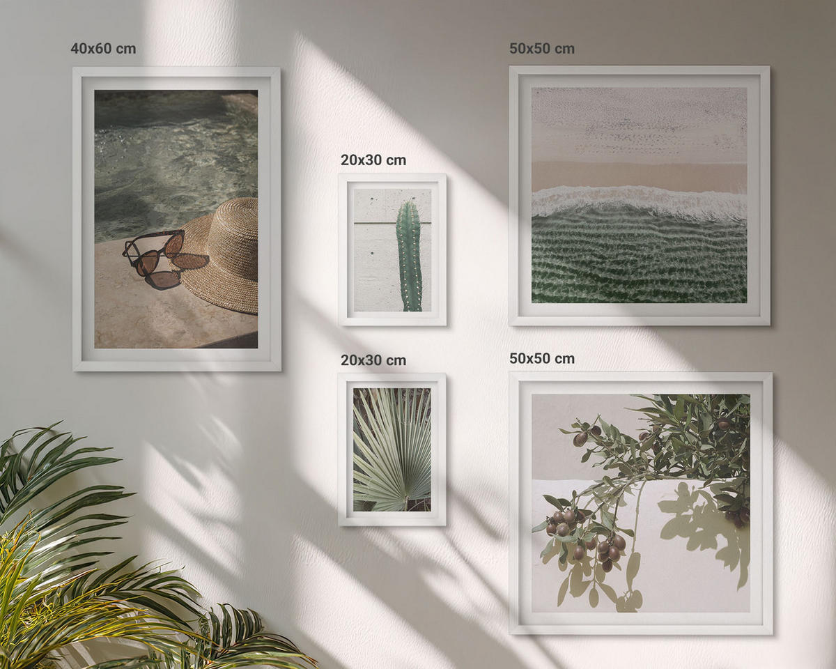 WANDBILDER 5er-Set - 50x50 cm & 20x30 cm & 40x60 cm Weißer Rahmen - Zubehör für tropische Pflanzen - Weiß, Kunststoff (40/60cm) - ArtPrintCave