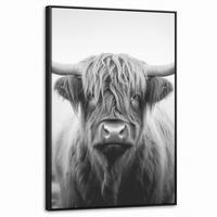 LEINWAND Bilder mit Rahmen - Schottischer Highlander - Nebel - Schwarz - Weiß - 60x90 - Grau, Textil (60/90cm) - MuchoWow