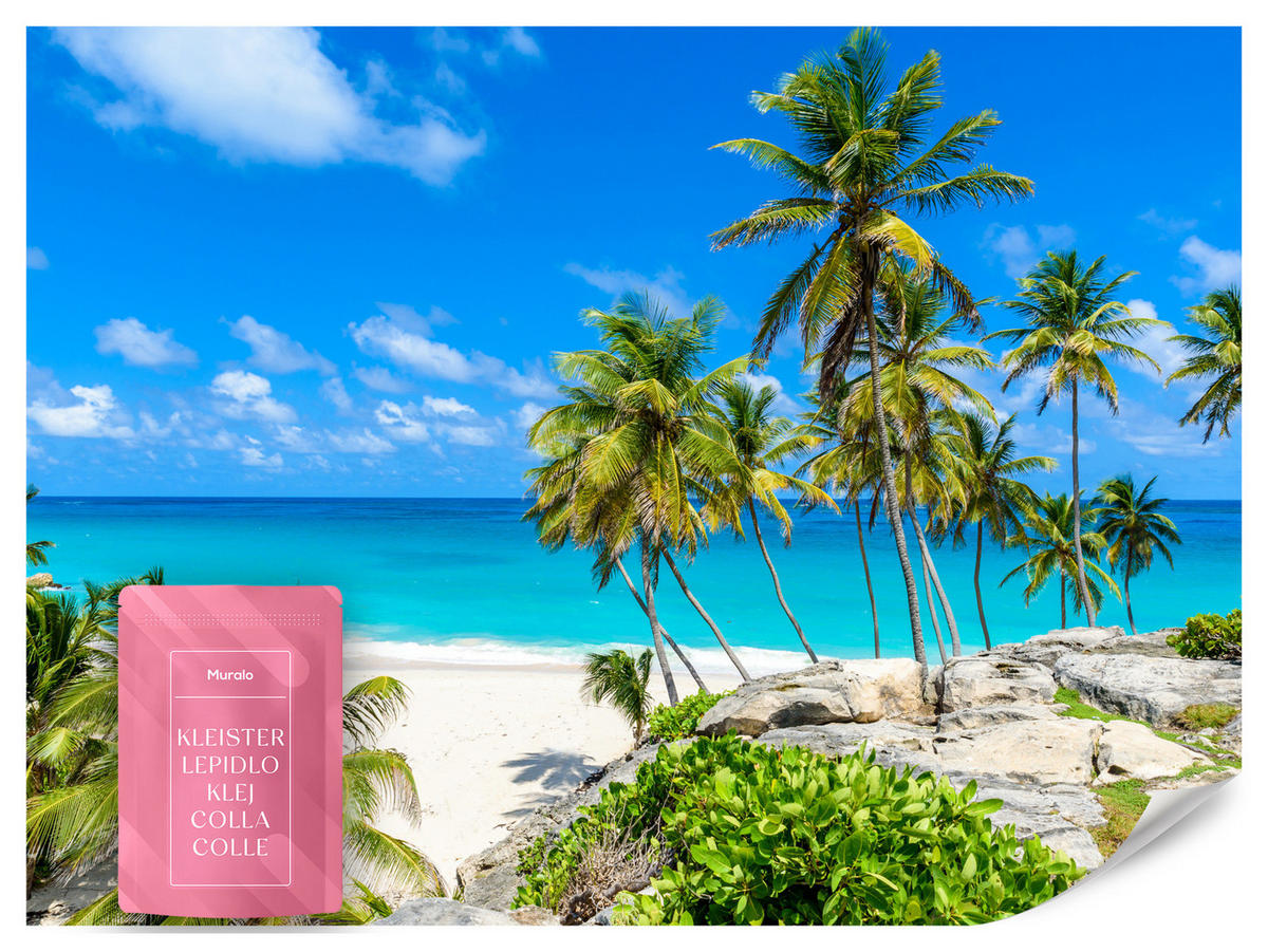 FOTOTAPETE Strand Palmen Ozean Landschaft 3D 250x175 - Blau/Beige, Papier (250/175cm) - Muralo