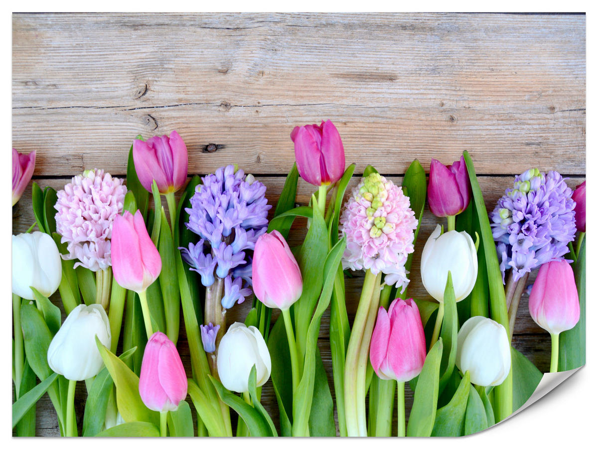 FOTOTAPETE für Küche Rosa Tulpen Violette Hyazinthen Holztisch 250x175 - Ecru/Violett, Papier (250/175cm) - Muralo