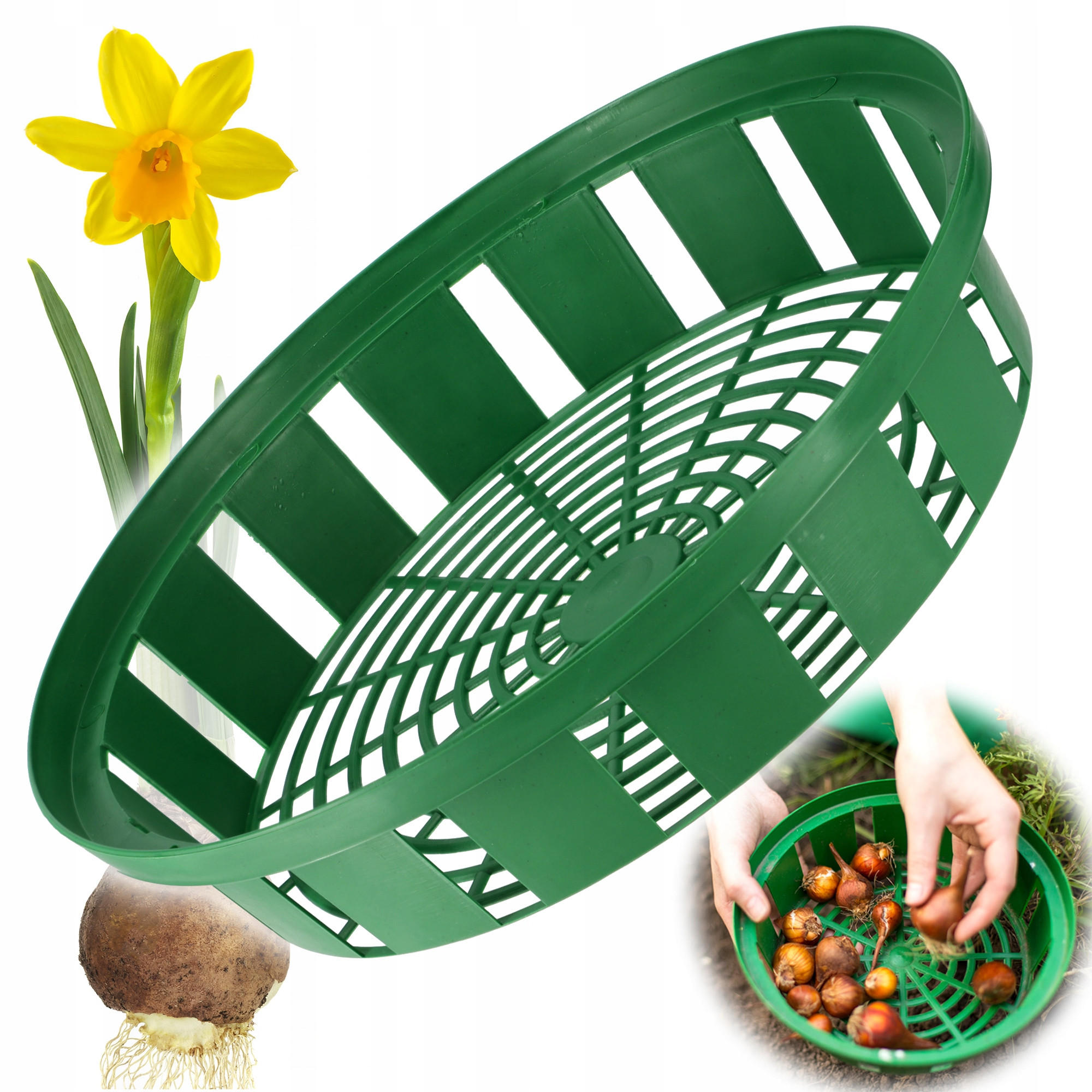 BLUMENZWIEBELKORB 30 cm, grün - Grün, Kunststoff - KADAX