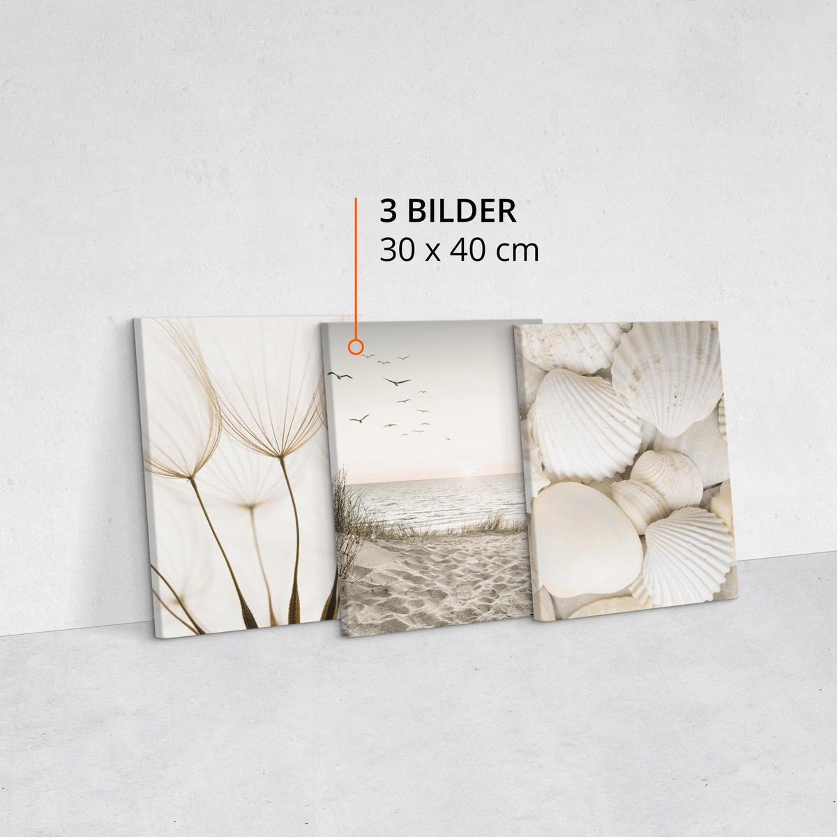 LEINWANDBILDER 3-er Set Strand Muscheln - Beige/Braun, Textil (90/40cm) - Muralo