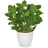 KUNSTPFLANZE Ficus 25 cm - Grün, Kunststoff (25cm)