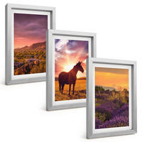 BILDER SET 3er Set - 20x30 cm Silberner Rahmen - Berglandschaft mit einem Pferd - Silberfarben, Kunststoff (20/30cm) - TULUP