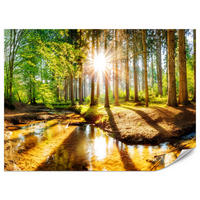 FOTOTAPETE für Wohnzimmer Pflanzen Natur Gras Sonniger Wald Bäume 400x280 - Multicolor, Papier (400/280cm) - Muralo