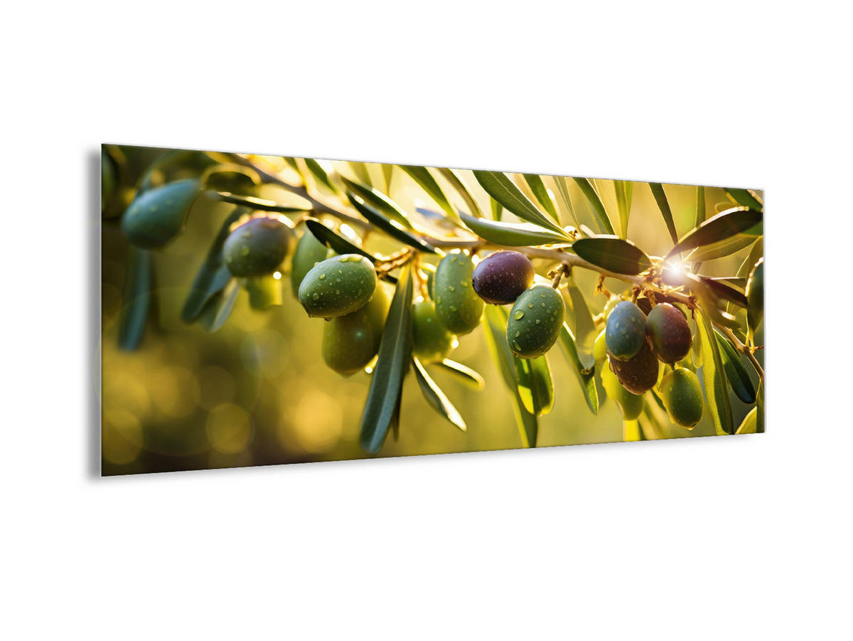 GLASBILD 80x30 cm Küche Oliven grün - Grün, Glas (80/30cm) - artissimo