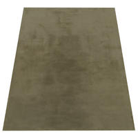 HOCHFLORTEPPICH 240/340 cm Soft 380 - Grün, Kunststoff (240/340cm) - Paco Home