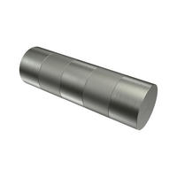 ENDSTÜCKE FÜR GARDINENSTANGEN 20 mm Ø, Mavell Edelstahl-Optik/Satin-Silber, Packung 2 Stück - Edelstahlfarben/Silberfarben, Metall (8.2/2.6/2.6cm) - INTERDECO