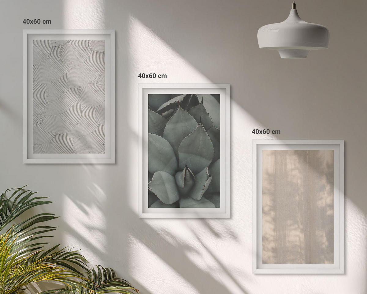 BILDER SET 3er Set - 40x60 cm Weißer Rahmen - Sommerliche tropische Texturen - Weiß, Kunststoff (40/60cm) - TULUP