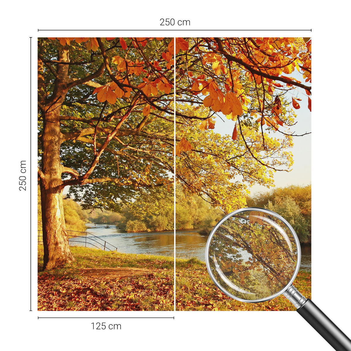 FOTOTAPETE 250x250 cm - Küstenherbst - Gelb, Textil (250/250cm) - Wallfluent