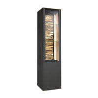 STANDVITRINE Faro Anthrazit und Asteiche - Grau, Holzwerkstoff (42/195/42cm)