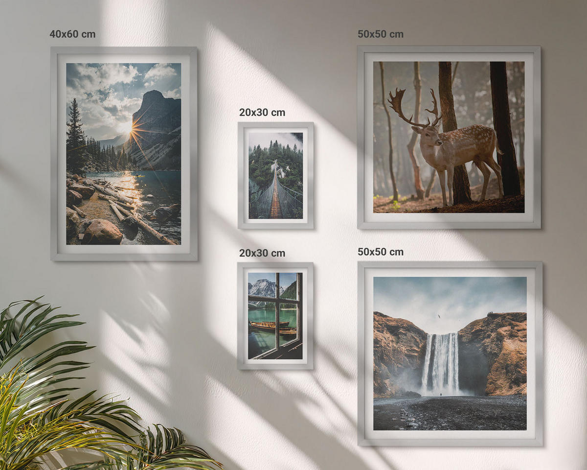 WANDBILDER 5er Set - 50x50 cm & 20x30 cm & 40x60 cm Silberner Rahmen - Blumenarrangements in Vasen - Silberfarben, Kunststoff (40/60cm) - ArtPrintCave