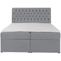BOXBETT Daissy Grau Samt 180x200 cm - Grau, Textil (180/200cm) - Selsey