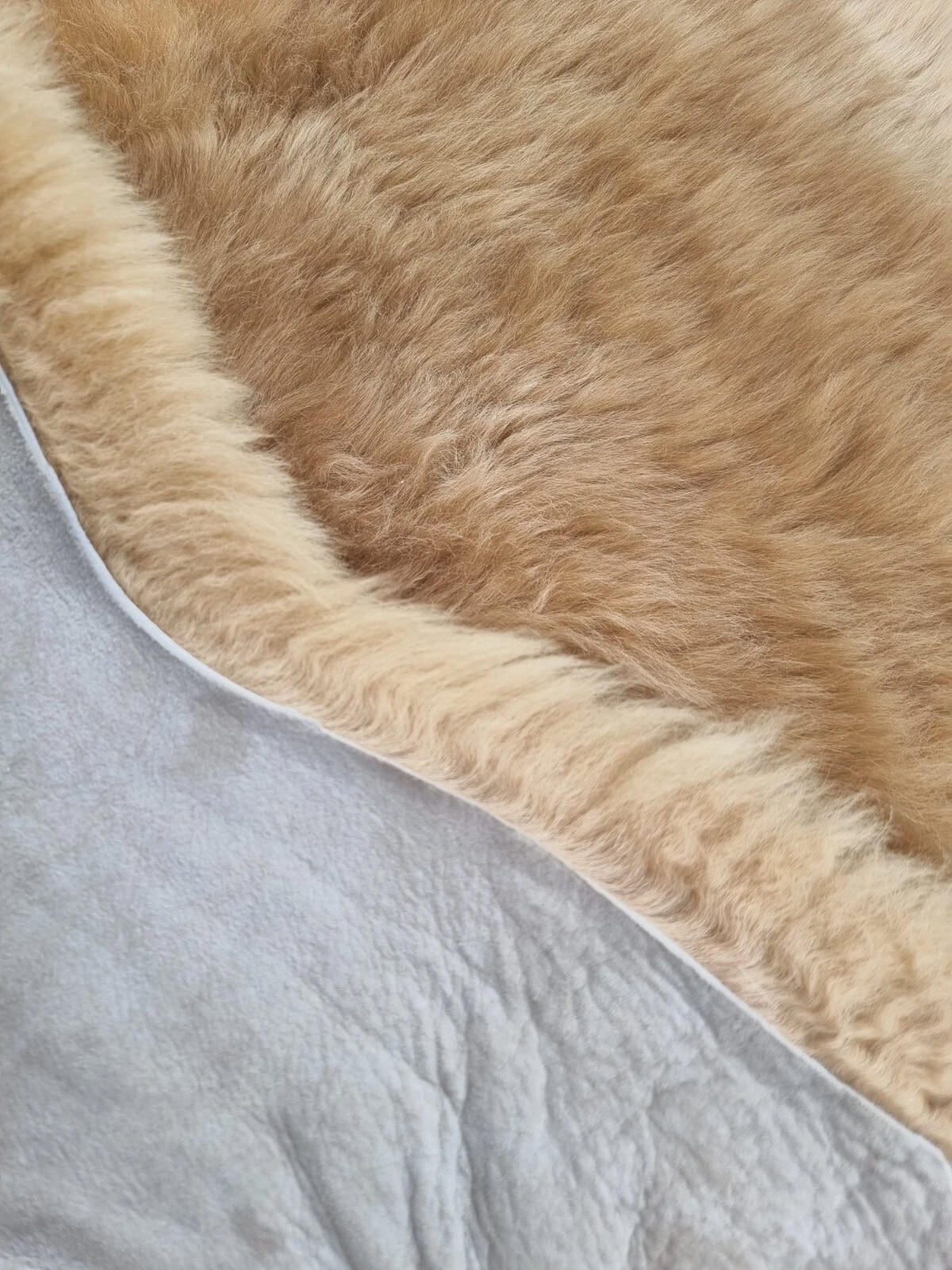 SCHAFFELL Premium Lammfell Natur ungeschoren weiche Wolle Beige dyed ca. 105 cm - Beige, Fell (55/105cm) - Provellus