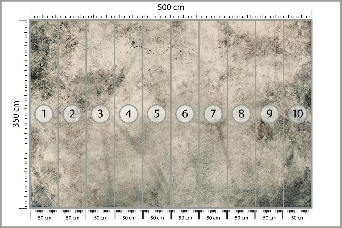 FOTOTAPETE Löwenzahnsamen Beton Vintage Stil 500x350 - Beige/Braun, Papier (500/350cm) - Muralo