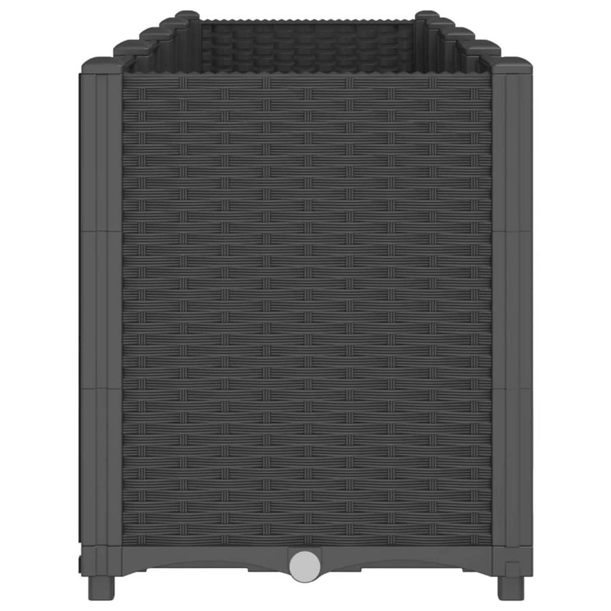 PFLANZKÜBEL Schwarz 160/40/53 Cm PP - Schwarz, Kunststoff (40/53/160cm) - vidaXL